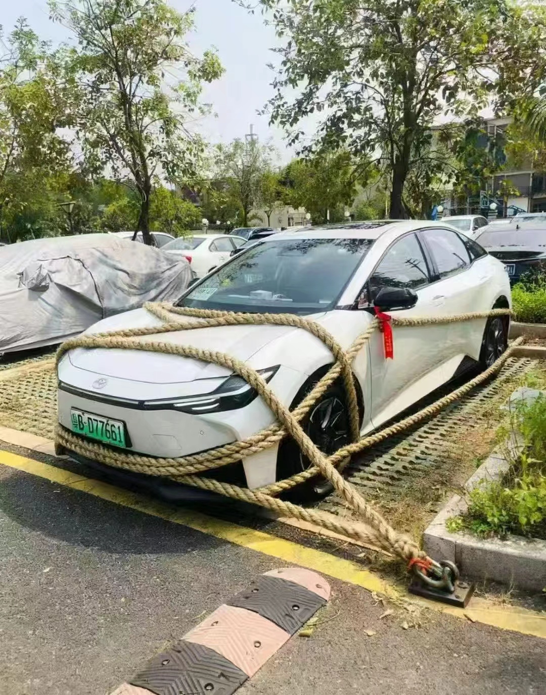 桦加沙